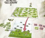 Spring Meadow