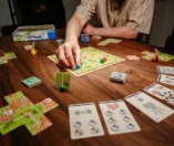 Carcassonne Labyrinth