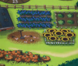 Graantje de Voorste: Het Bordspel