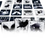 Instinct: Duel in het Duister