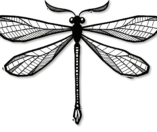 Symbiose