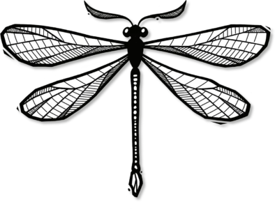 Symbiose