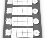Symbiose