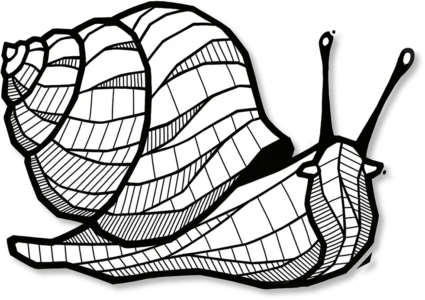 Symbiose