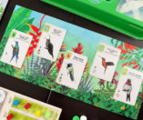 Wingspan: Midden- en Zuid-Amerika