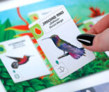 Wingspan: Midden- en Zuid-Amerika