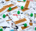 Wingspan: Midden- en Zuid-Amerika